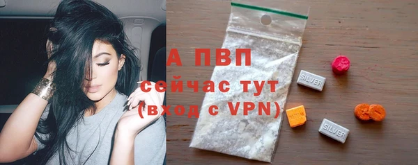 молекула духа Заводоуковск