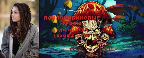 молекула духа Заводоуковск