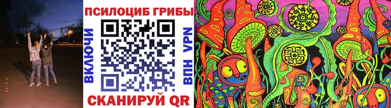Купить закладки  Нововоронеж  Галлюциногенные грибы GOLDEN TEACHER 